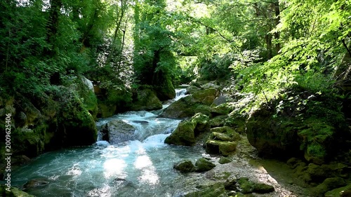 Serene Forest Stream Cascading Over Rocky Beds in Lush Green Nature