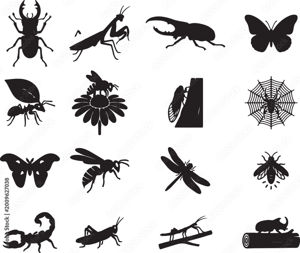 Fototapeta premium Insect and Arachnid Silhouettes with Beetle Butterfly Spider and Scorpion