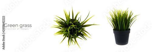 Canvas-taulu Beautiful artificial green grass in pots ceramic isolated on white background, plastic tree and foliage, plant mini tree, leaf fake with imitation for decorate home, closeup object