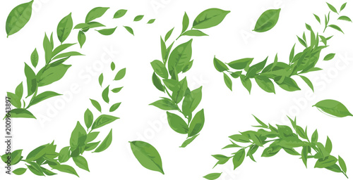 Green leafy branches collection with flowing foliage elements natural plant swirls and scattered leaves botanical vector illustration set