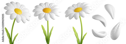 3D Daisy Flower with leaves and stem. Head of Cartoon chamomile bubble bloom with white petals for spring and summer design. 3d render 
