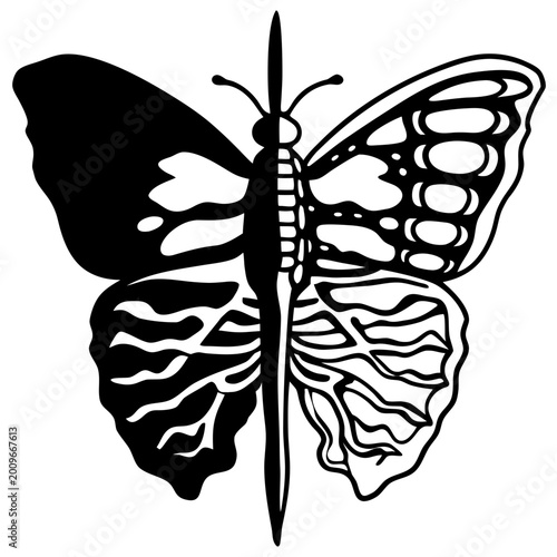 Black and white butterfly illustration with split design