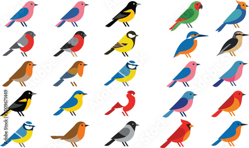 Fotografía Colorful bird species collection with various small songbirds in flat cartoon st
