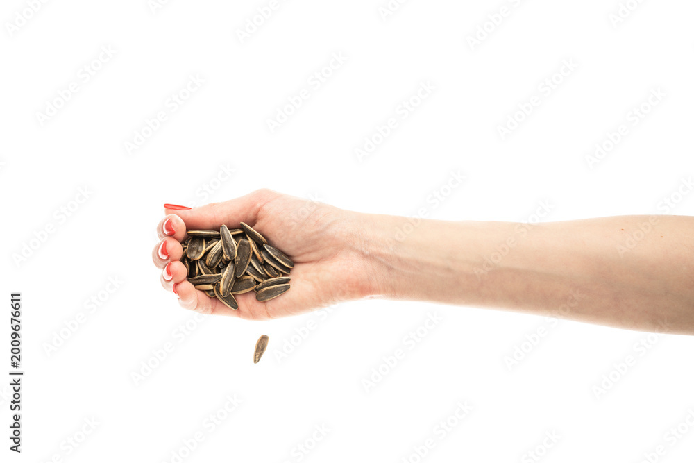Fototapeta premium Female hand sunflower seeds on a white background isolation