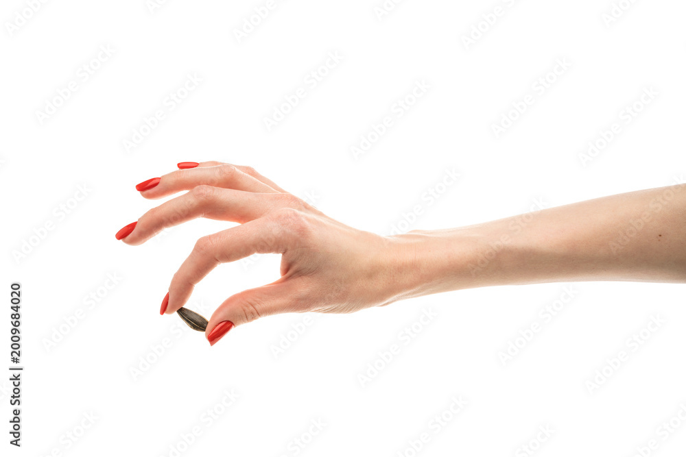 Fototapeta premium Female hand sunflower seeds on a white background isolation