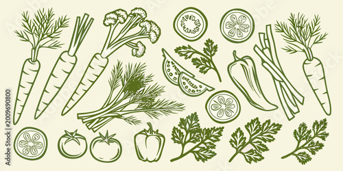 Hand drawn vegetables and herbs illustration with carrots tomatoes and parsley on a beige background
