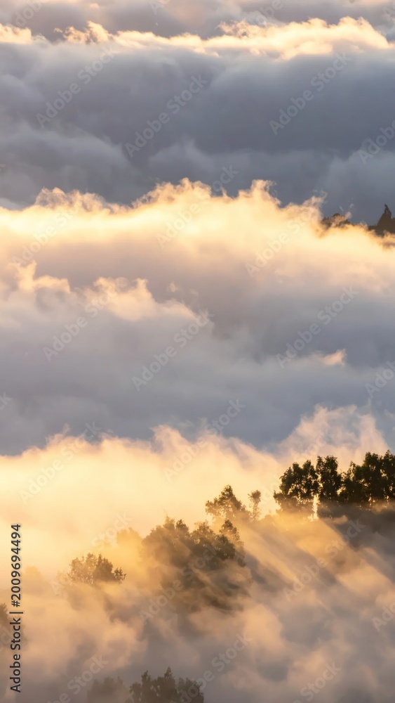 Fototapeta premium Golden light breaks through a sea of clouds, illuminating a forested hillside