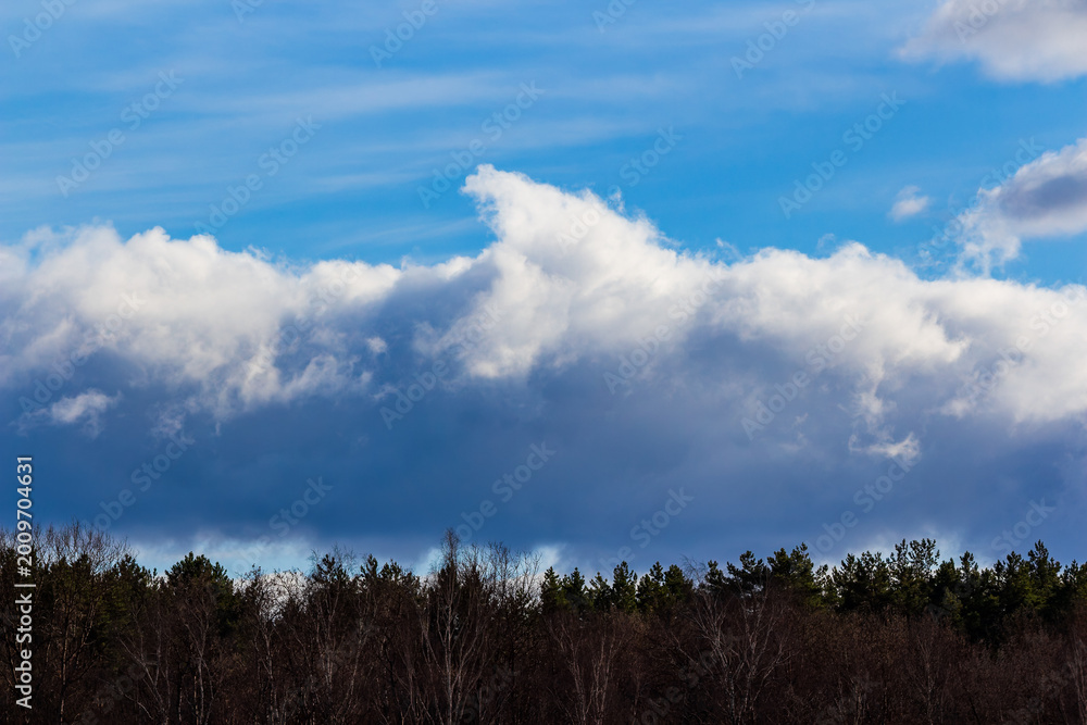 Obraz premium Dramatic clouds loom over a dark forest line under a bright blue sky, hinting at changing weather patterns