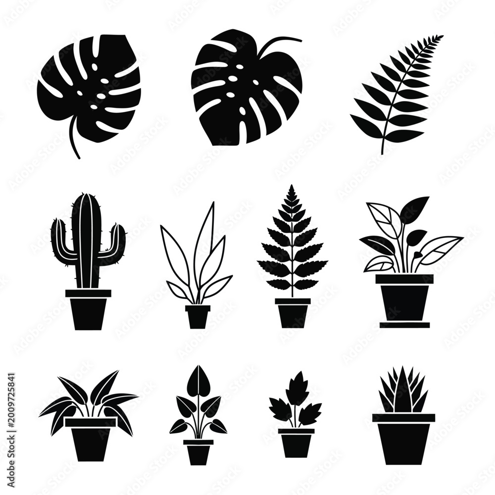 Obraz premium Variety of Potted Houseplants and Cacti.