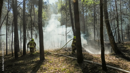 Cuadro en lienzo Forest fire extinguishing operation, heavy smoke, conflagration in the forest, b