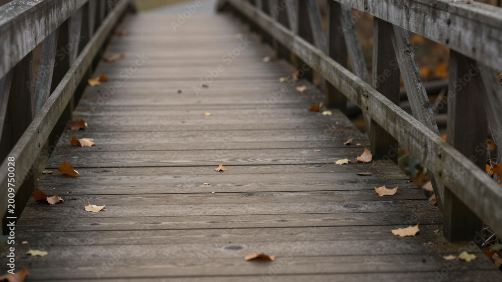 Obraz premium Autumn leaves on wooden bridge - Food & Drink