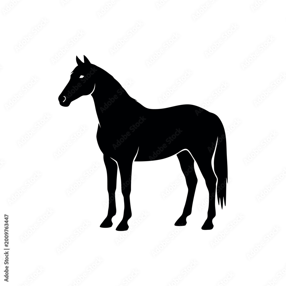 Obraz premium silhouette of a horse
