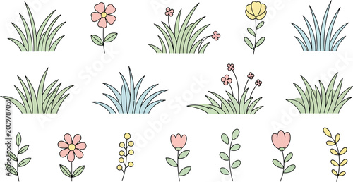 Variety of wildflowers and grasses in a collection of illustrations