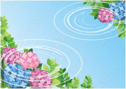 夏の梅雨　紫陽花風景