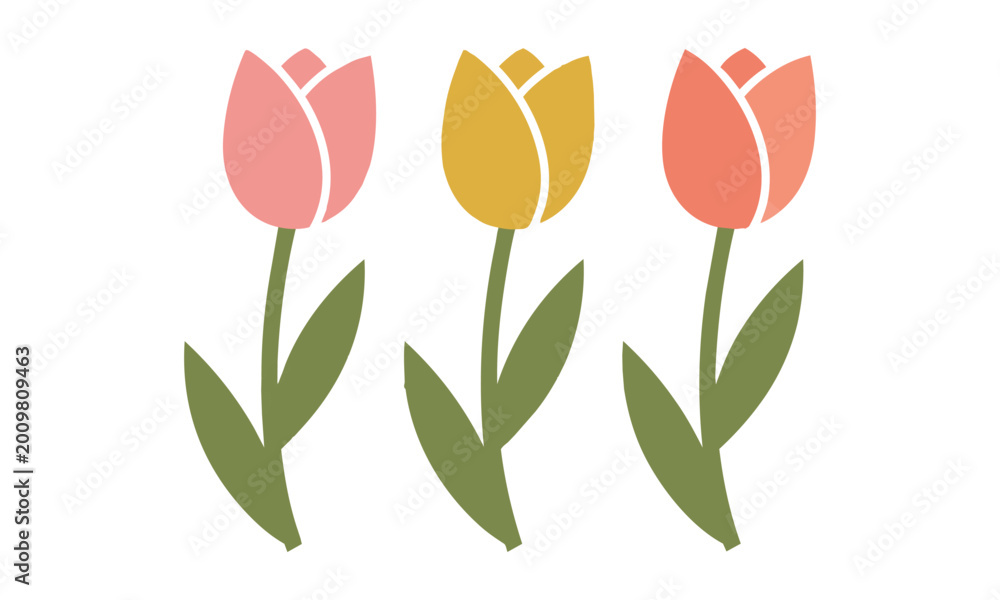 Obraz premium Three stylized tulips with elegant stems and leaves in soft pink yellow and coral isolated on white background spring floral design concept