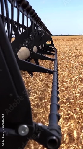 Close Up Slow Motion of Combine Harvester Reel Rotating and Cutting Wheat on Sunny June Day. Camera is capturing in slow motion how the machinery bends and pulls ripe wheat ears into the cutter bar.