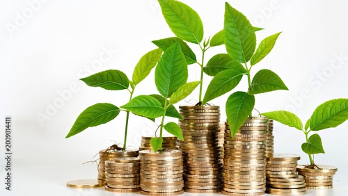 Growing wealth sustainable investment strategies in finance business nature indoor vertical view