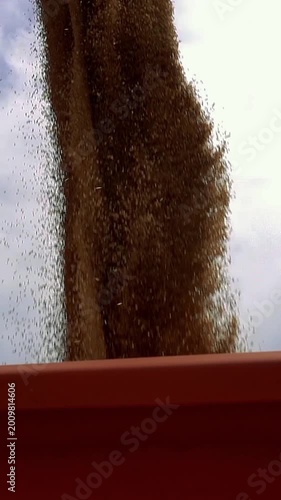 Low Angle Tracking Shot of Combine Harvester Unloading Wheat Grain into Moving Tractor Trailer in Slow Motion. A smooth tracking shot follows the tractor trailer as it moves across the frame. 