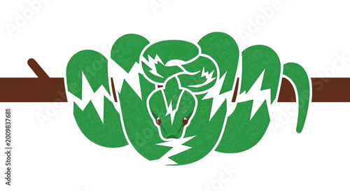 Photos Green tree python coiled on brown branch vector illustration