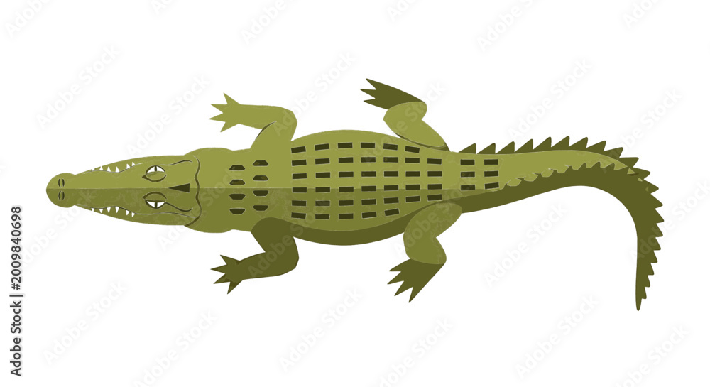 Fototapeta premium Top View Green Crocodile Vector Illustration