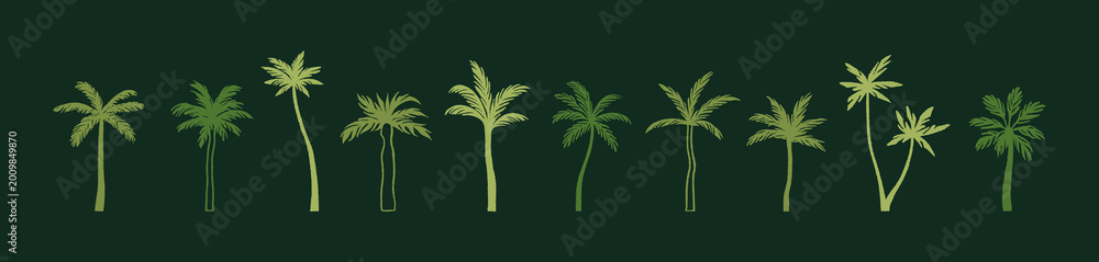 Fototapeta premium Doodle set of abstract silhouettes of palm trees. Banana and coconut palmtrees shadows. Tropical plants of rainforest. Exotic flora of jungle. Flat isolated hand drawn vector illustrations