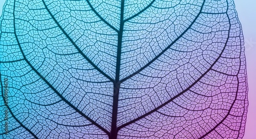 Abstract organic leaf texture shows a macro close-up of a natural green plant pattern featuring intricate veins and a detailed foliage background