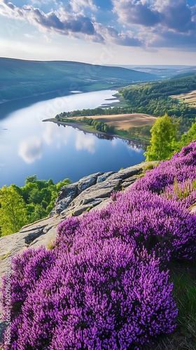 Expansive view of a serene lake valley with blooming purple heather on rocky foreground slopes