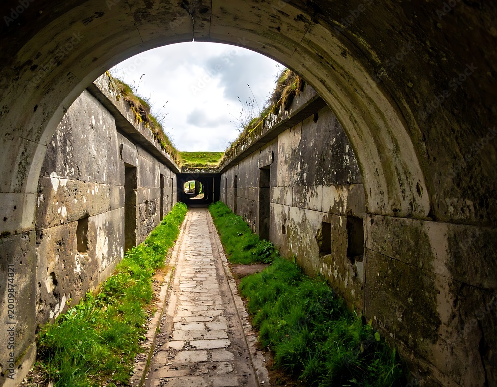 Obraz premium Abandoned stone passageway with archway entrance.