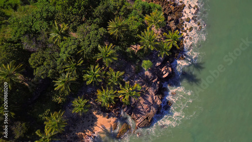 Canvas Print Tropical island coastline, aerial view of lush green palm trees and dense jungle foliage