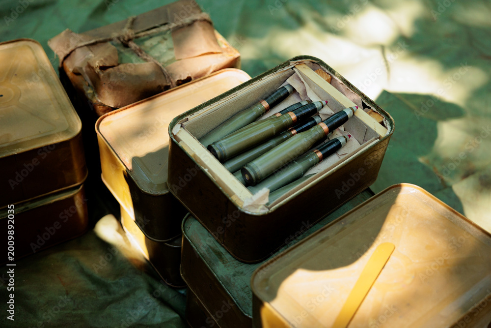Naklejka premium Unitary Cartridges For Assault Rifle In Cardboard Box