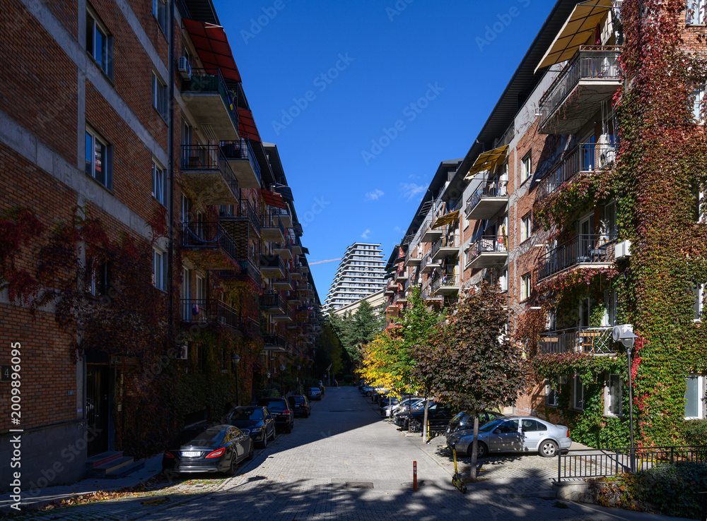 Fototapeta premium Red Brick Houses with Wild Grape in Northern European Style