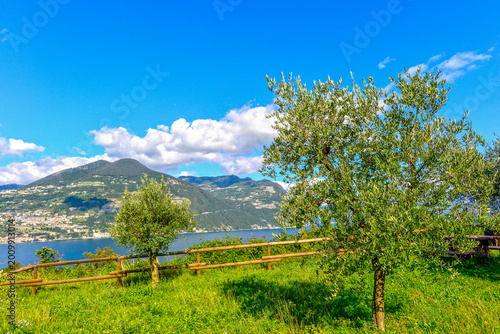 Foto Blick von Monte isola über den Iseosee auf die lombardischen Berge hinter grünen