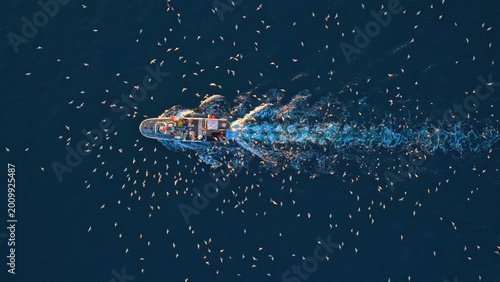 Photography Aerial view of a fishing boat on deep blue ocean water, surrounded by a large flock of seagulls, a vibrant marine wildlife scene, perfect for nature and travel content