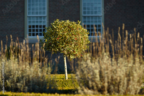 Bilde på lerret Golden hour light bathes the manicured garden in a warm glow.