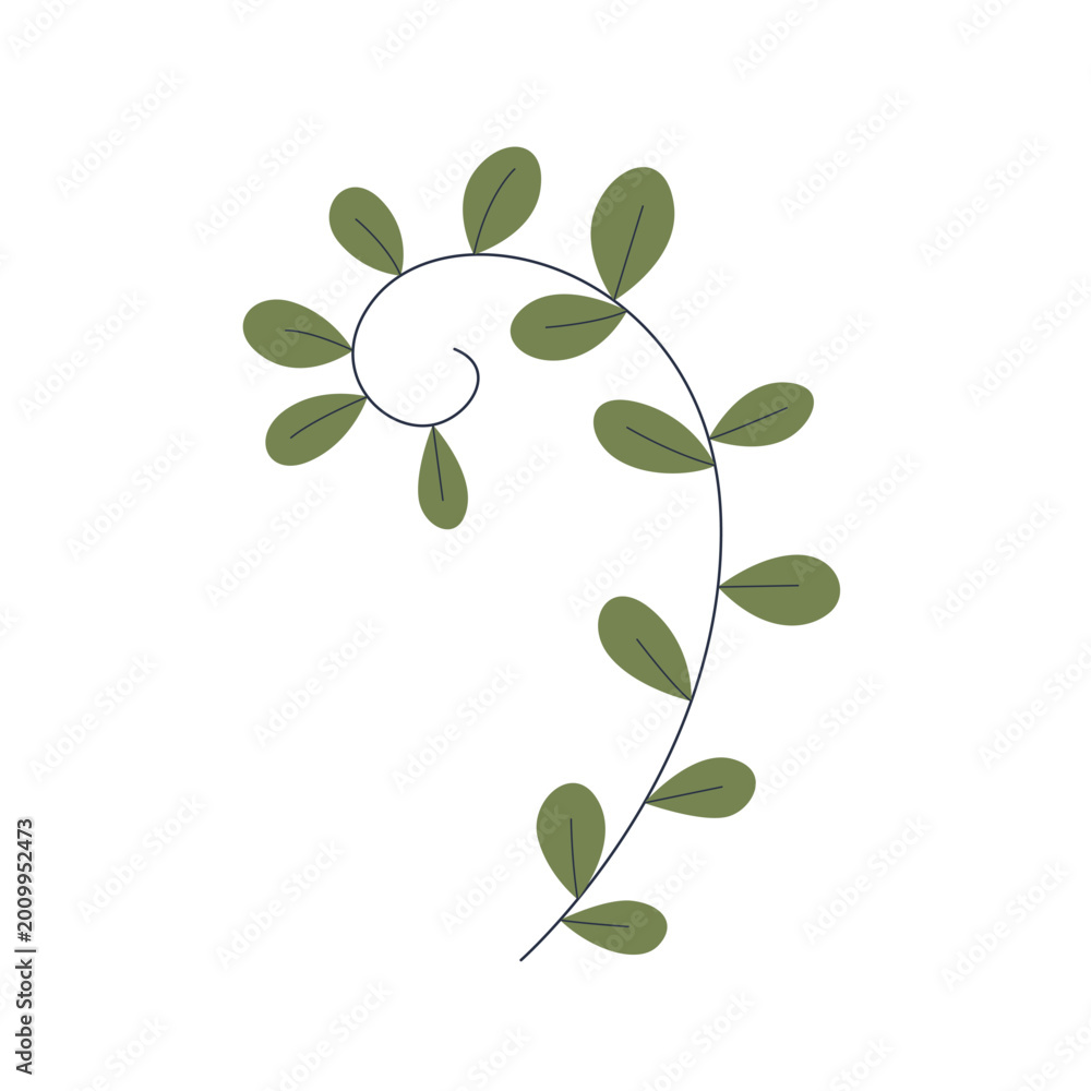Obraz premium Green leaf branch