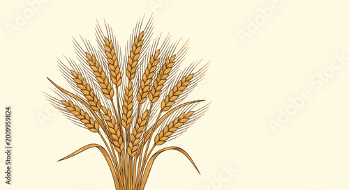 Golden illustration of a bundle of ripe wheat ears arranged in a fan shape and isolated on a light cream background.