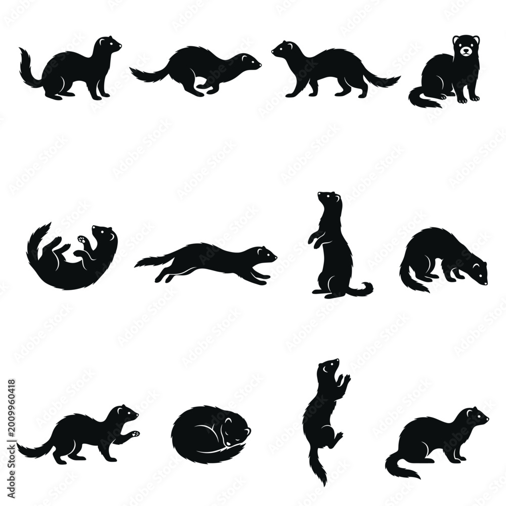 Fototapeta premium Black and white vector silhouette set of Ferret