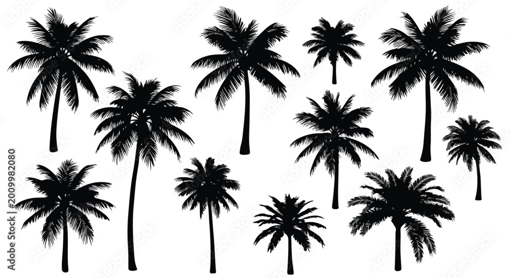 Fototapeta premium Set of palm tree icons in various shapes and black line styles on white background