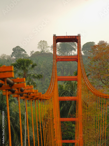 Hanging bridge