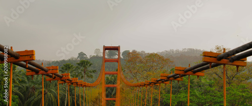 Hanging bridge