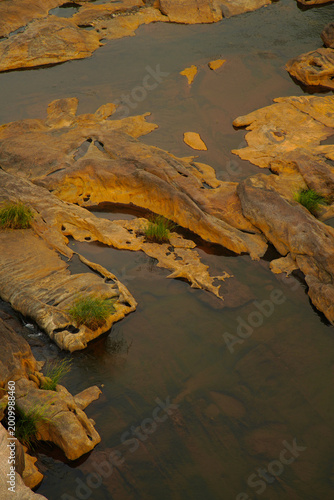 River bottom in the summer