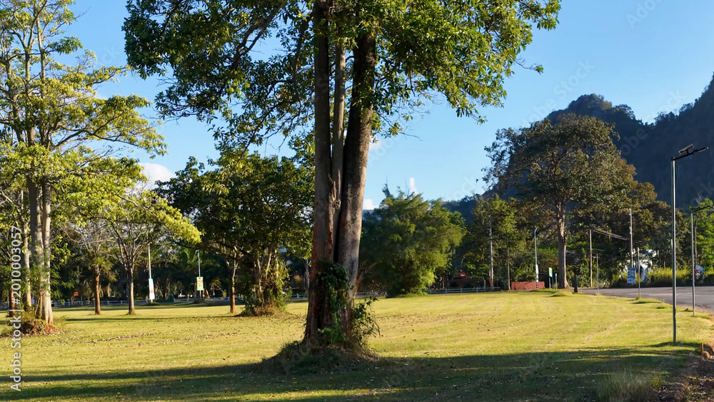 Fototapeta premium Scenic View of Khao Yai Mountain Landscape with Trees and Grassland