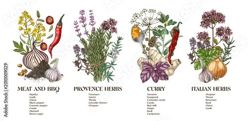 Hand drawn vector collection of classic spice blends
