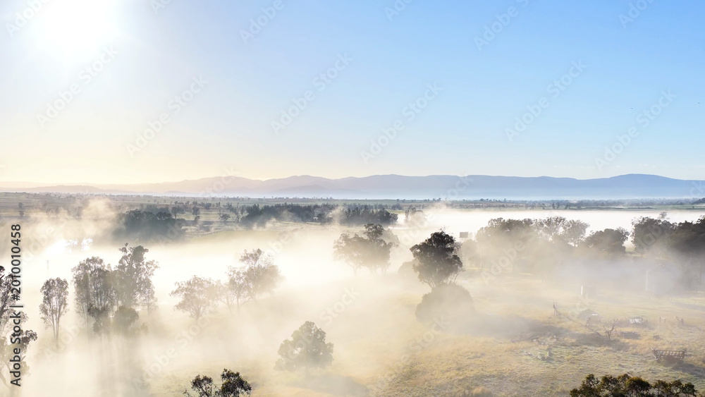Fototapeta premium Aerial Sunrise Over Foggy Rural Landscape with Eucalyptus Trees in Tamworth