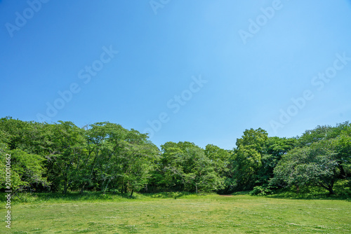 爽やかな公園風景