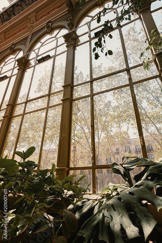 Interior view of a classic glass greenhouse structure with green tropical potted plants and large windows looking out at city trees.