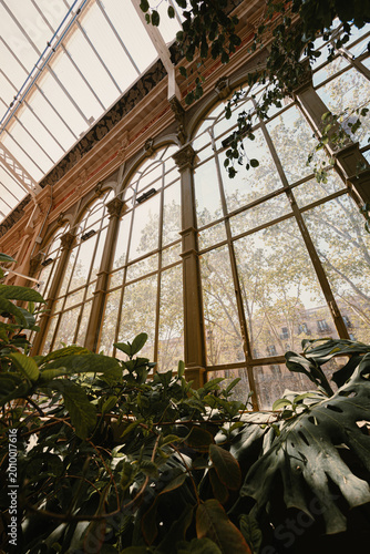 Interior view of a classic glass greenhouse structure with green tropical potted plants and large windows looking out at city trees.