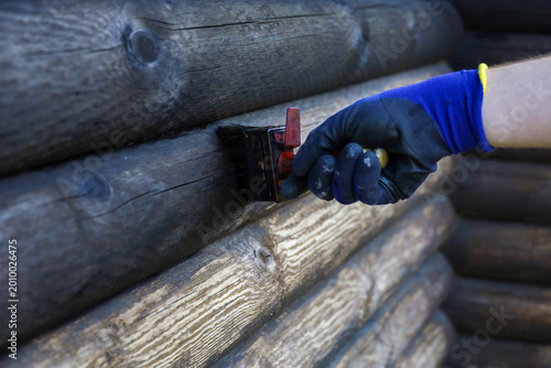 Painting a log wall with dark oil. A painter's hand, wearing a blue protective glove, applies a dark protective compound to the wooden frame with a brush. Renovating and protecting a wooden house