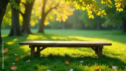 Serene Wooden Bench in a Sunlit Meadow with Fallen Petals