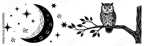Night owl on tree branch with crescent moon and stars, mystical nocturnal forest scene vector illustration in woodcut style